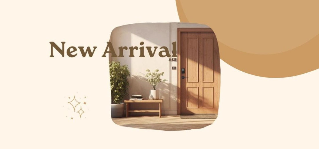 Introducing Tinewa New Smart Door Lock Sets - Tinewa