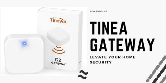 Unveiling the TINEWA Gateway for Smarter Living - Tinewa